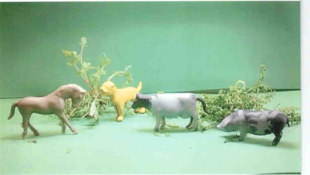 Bichinhos da Fazenda